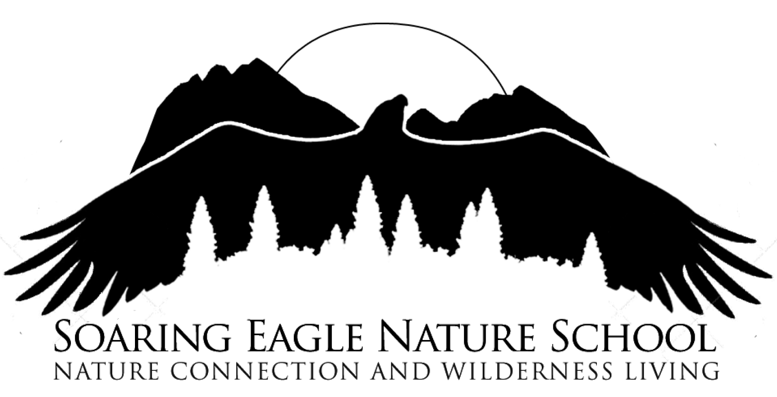 Signin Soaring Eagle